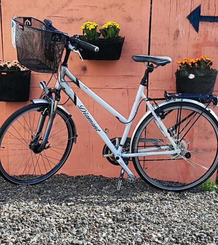 "Radpulse" 28 Zoll Damenrad von Diamant – Bild 1