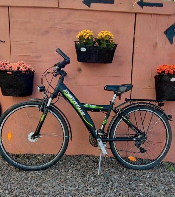 Radpulse 26 Zoll City Fahrrad von Pegasus – Bild 2